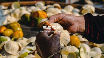 好的陳皮才能煮出好的陳皮茶