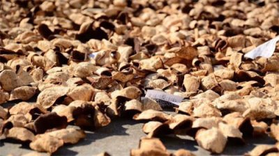 不同年份的陳皮怎么翻曬