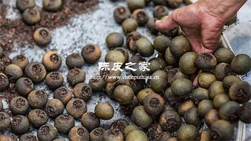 正宗小青柑的產地是哪里 2