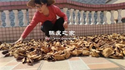 新會陳皮應(yīng)該怎么翻曬