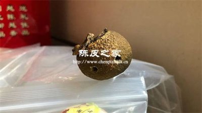 小青柑生曬和半生曬有什么區別