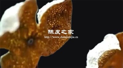 新會陳皮造假有哪些方法