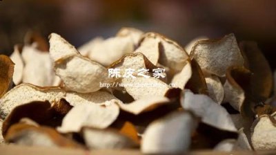 橘子皮并不等于陳皮