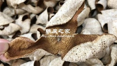 新會陳皮冬天怎么保存
