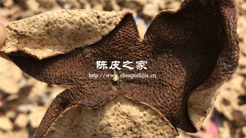 新會陳皮可以放多久