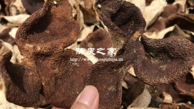 正宗新會陳皮的顏色為什么不均勻