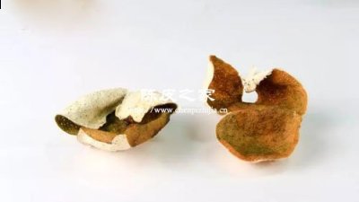 15年陳皮真是15年前曬好放到現(xiàn)在的么