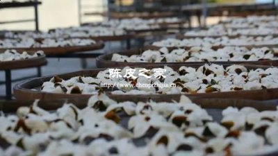 自己曬的陳皮三年了,需不需要偶爾拿出來(lái)曬一下