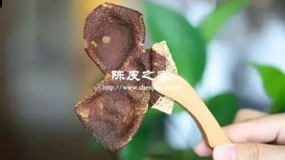 陳皮用橘子皮還是用橙子皮好