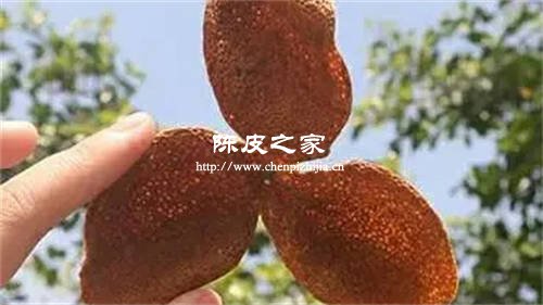 正宗新會(huì)陳皮三瓣相連
