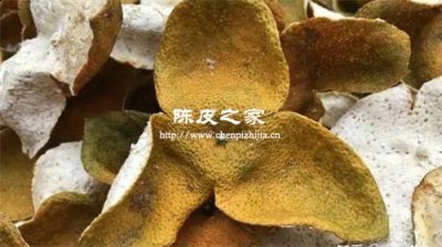 陳皮哪個地方產(chǎn)的最好