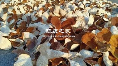 陳皮的正宗產(chǎn)地哪里最好