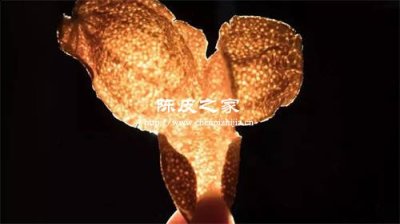 新會(huì)陳皮和一般陳皮有什么區(qū)別