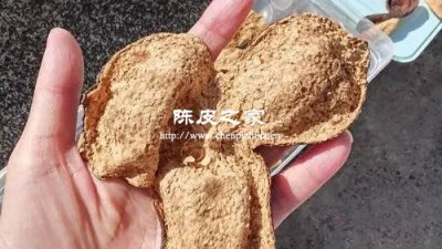用別的陳皮就沒有醫療價值了嗎