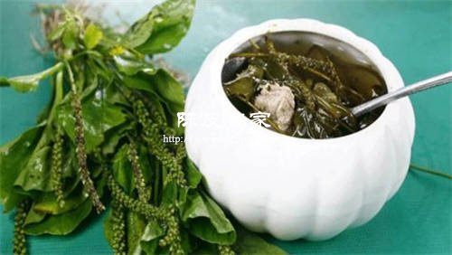 陳皮可以和車前草在一起泡水喝嗎