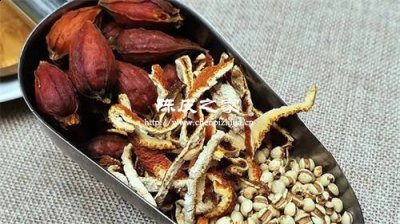 梔子和陳皮泡水喝有好處嗎