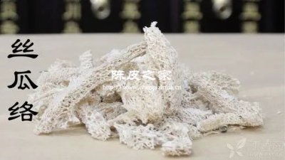 絲瓜絡陳皮煮水好不好