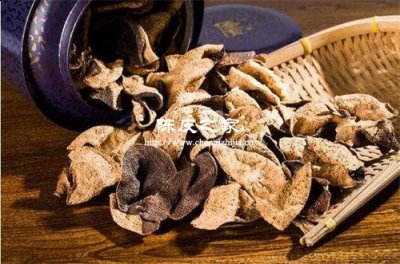 為什么年份越久的陳皮越貴