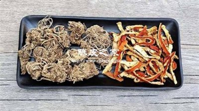 芹菜根陳皮煮水的好處有哪些