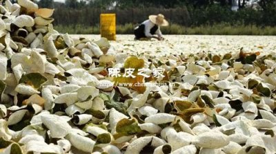 三蒸三曬與生曬的陳皮有區(qū)別嗎