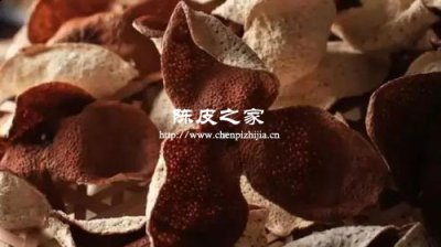 新會陳皮還值得投資嗎