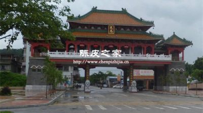 帶你了解新會天馬陳皮