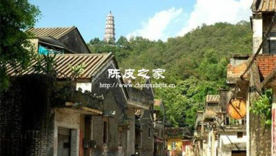 新會陳皮核心產區之一的茶坑有什么秘密