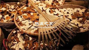 十年以上的新會陳皮為什么很難買到