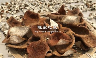 廣陳皮和川陳皮都有哪些區(qū)別