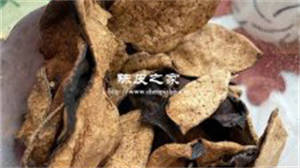 人參可以和陳皮一起泡水嗎