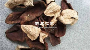 廣東省新會陳皮是什么地方