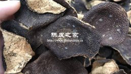 新會陳皮表面出現的白點是什么