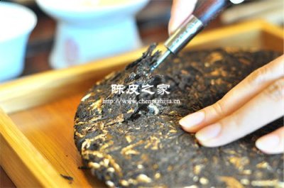 陳皮普洱應該如何有效的存放