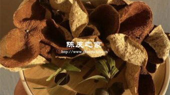 陳皮養生火鍋湯底的做法和功效