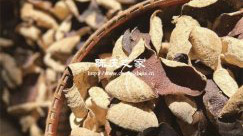 新會陳皮中營養成分的占比和作用