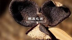 新會陳皮和其他陳皮對比有哪些優勢