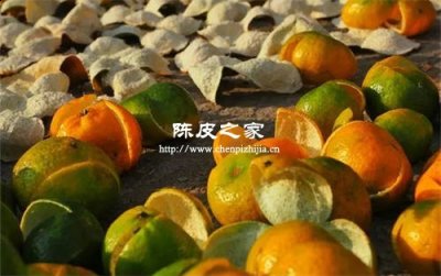 應(yīng)該如何打理新會(huì)柑皮