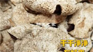 陳皮上的農(nóng)藥殘留會(huì)消失嗎