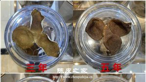 陳皮五年和十年有什么區別