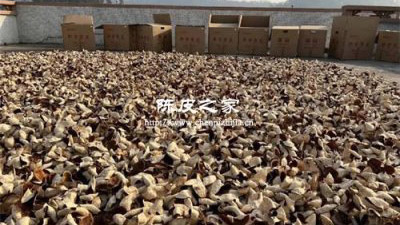 第一年陳皮剛買(mǎi)回來(lái)用不用曬