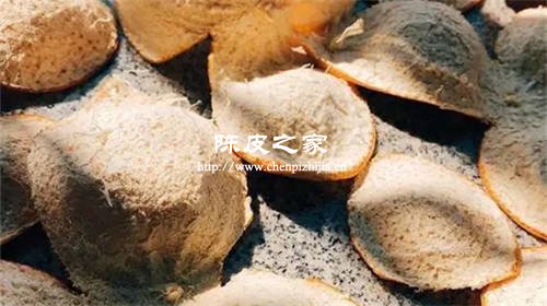 新會陳皮放久了會生蟲嗎