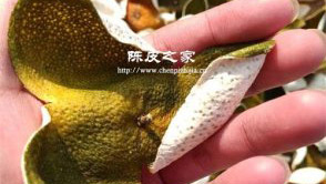 新會陳皮大紅和二紅的區別