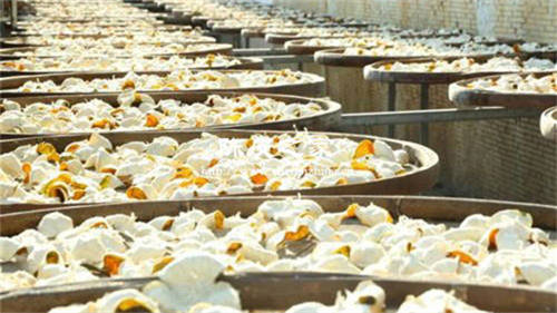 新陳皮可以放塑料袋保存嗎