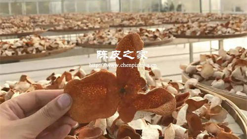 新陳皮如何進行陳化和存放