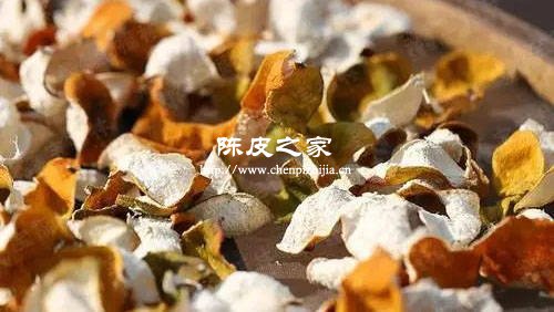 做陳皮最好的柑選哪個品種