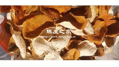 晾曬好的陳皮