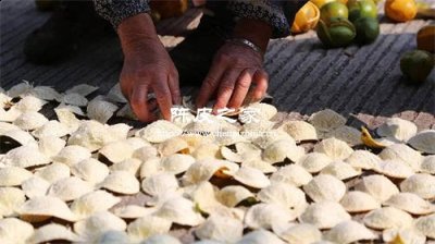 自家怎么曬陳皮