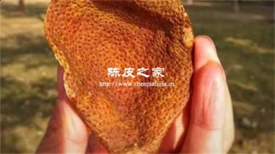 自己曬的橘皮是陳皮嗎