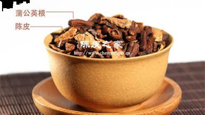 蒲公英根與陳皮泡水喝的功效與作用