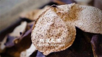 二十年老陳皮的功效與作用